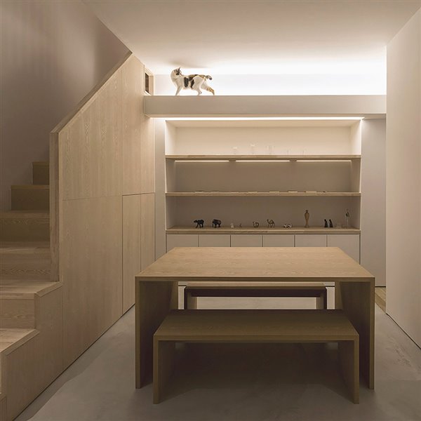 8 casas que miman a sus mascotas