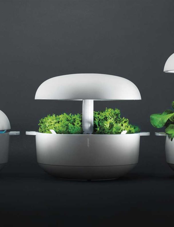 Un saludable huerto dentro de casa