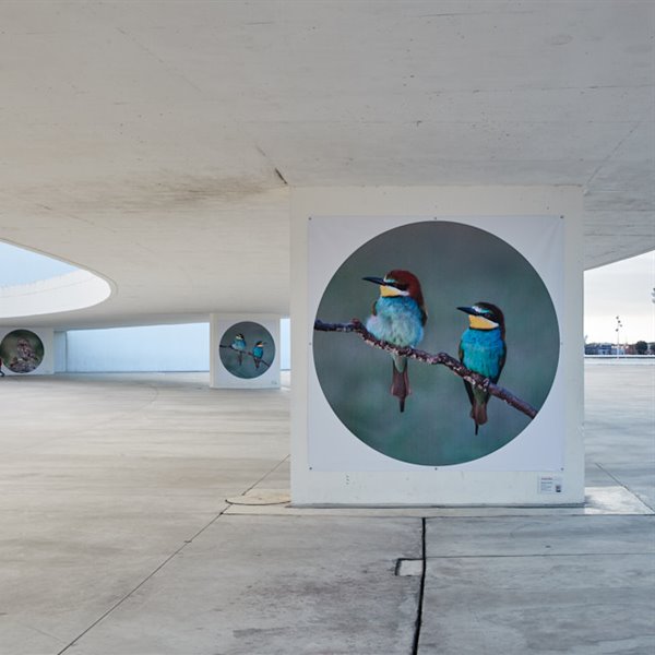 'Al aire libre’, la nueva exposición del Niemeyer, en Avilés