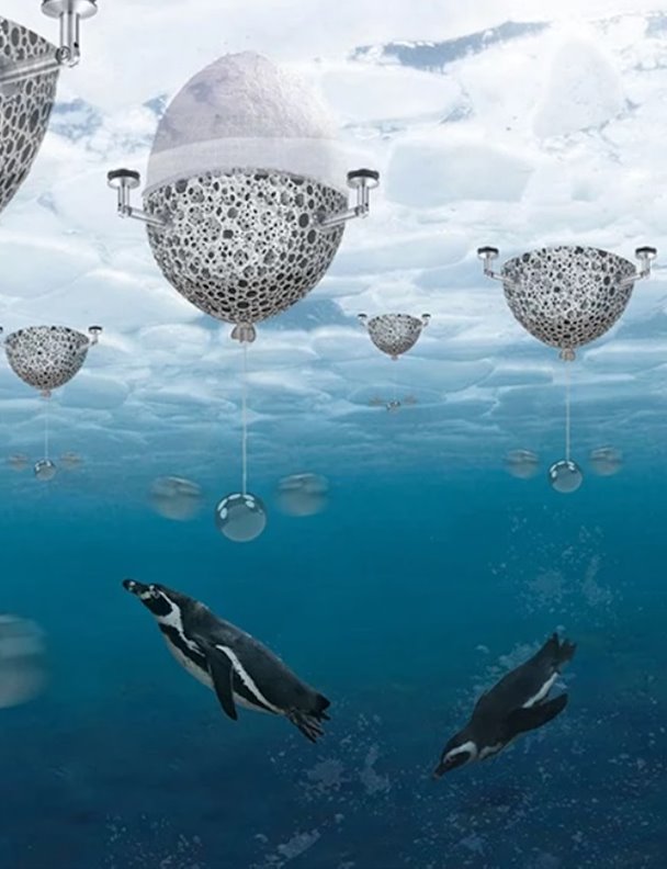 Un iglú de diseño para proteger a los pingüinos contra el cambio climático