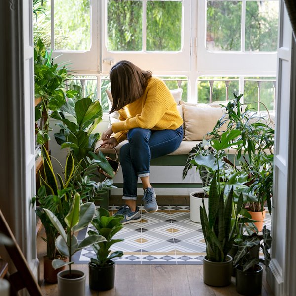 Los mejores trucos para tener unas plantas en invierno perfectas
