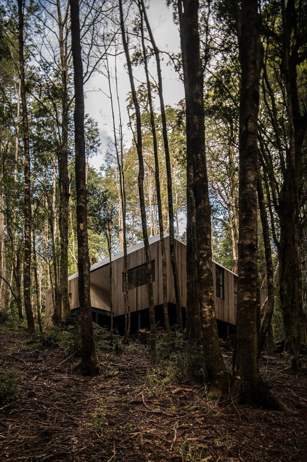 Casa de madera en mitad de los bosques de chile fachada