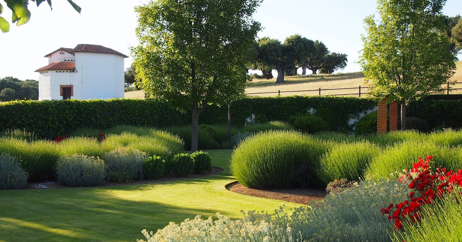 jardin Salamanca paisaje