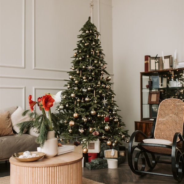 ¿Cuándo se pone el árbol de Navidad? Esto dice la tradición