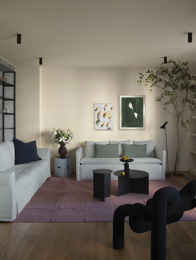 Salón con sofás grises y estilo moderno. 