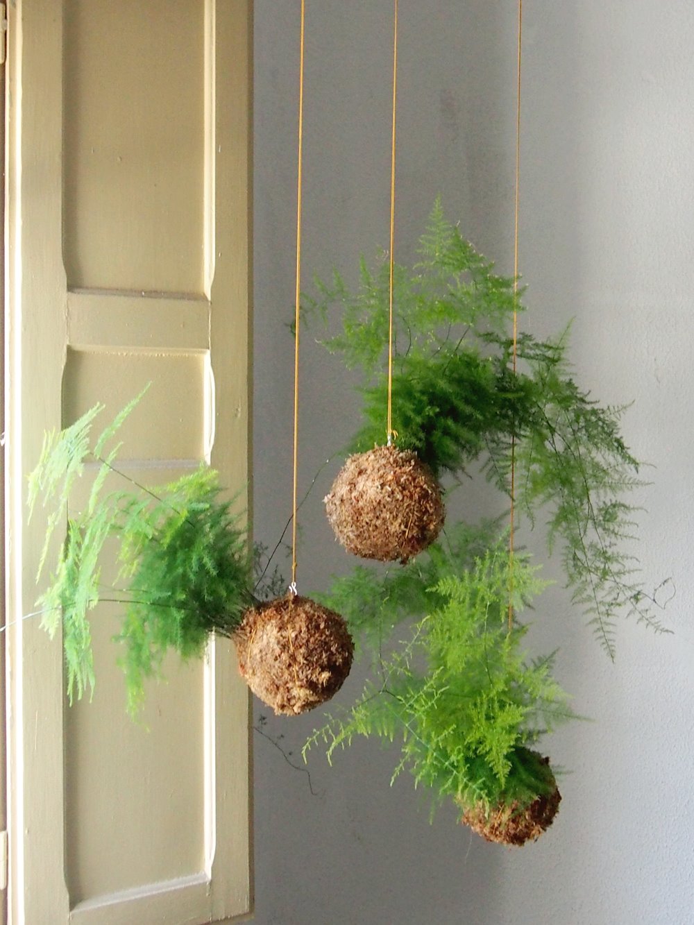 Si ya tiene plantas con la técnica de la kokedama, que permite a una planta vivir en una bola de musgo sin necesidad de maceta, deberías considerar el matrimonio.