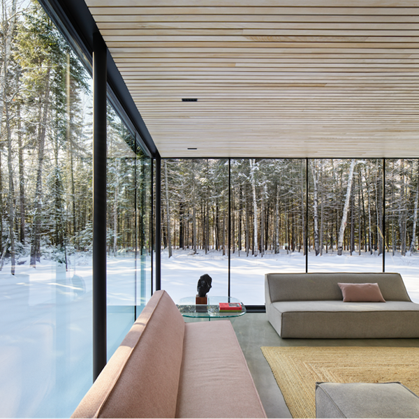 Un manzano es el corazón de esta moderna casa de cristal: un refugio con patio central y privilegiadas vistas al bosque