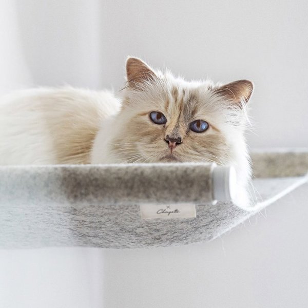 La gata de Karl Lagerfeld, Choupette, sigue viviendo mejor que cualquiera de nosotros