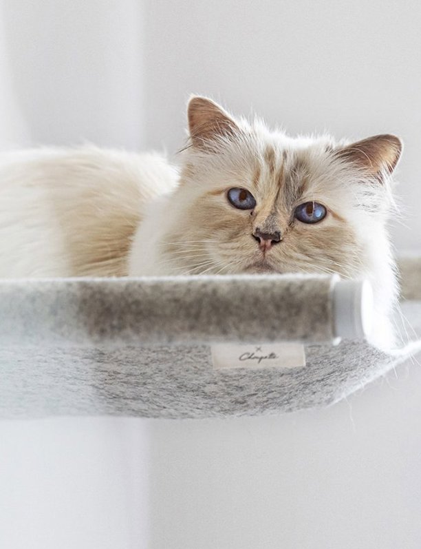 La gata de Karl Lagerfeld, Choupette, sigue viviendo mejor que cualquiera de nosotros