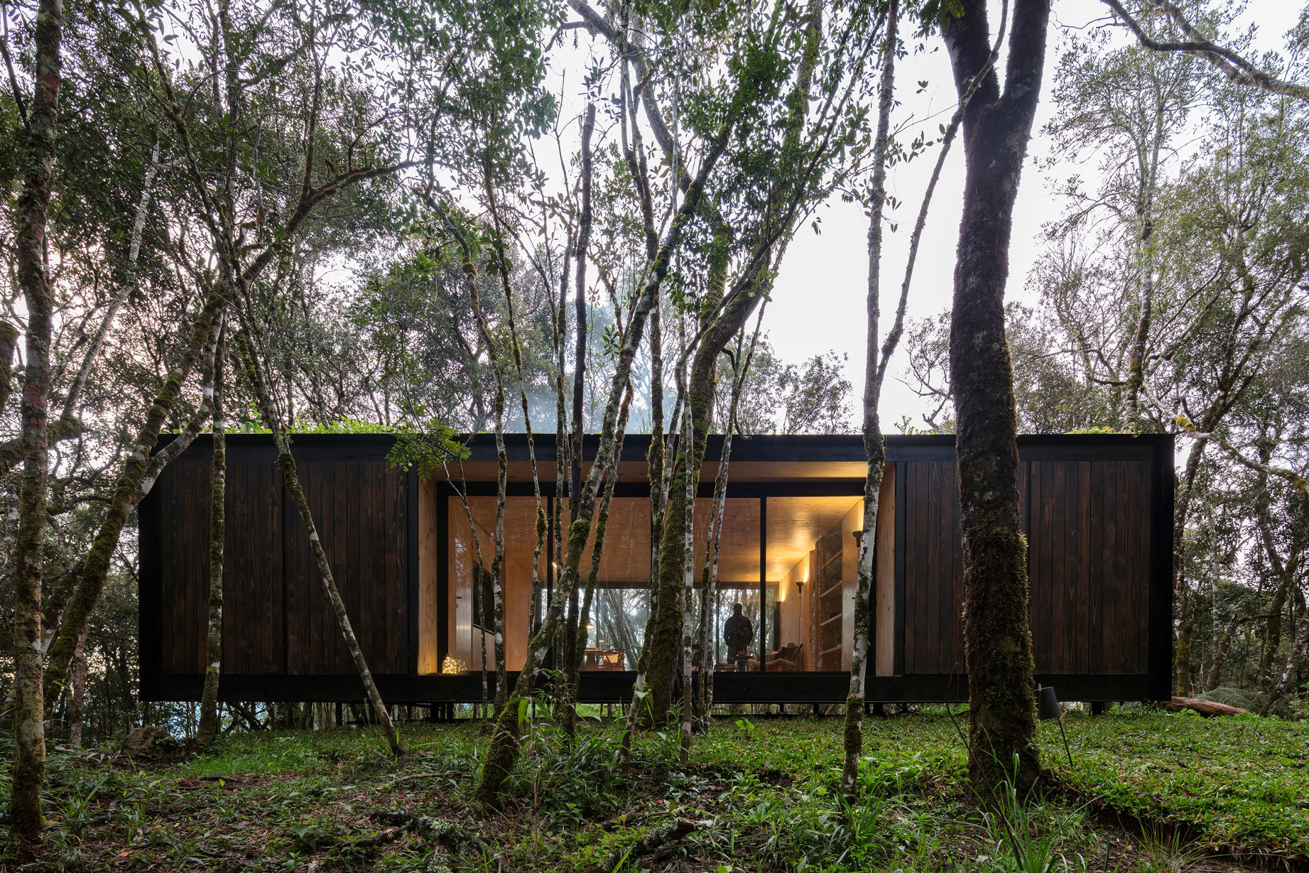 Casas prefabricada de madera con amplios ventanales en el bosque