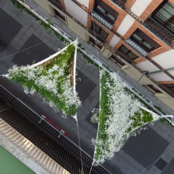 Los jardines flotantes de Alicante que dan sombra y refrescan las calles son una revolución mundial