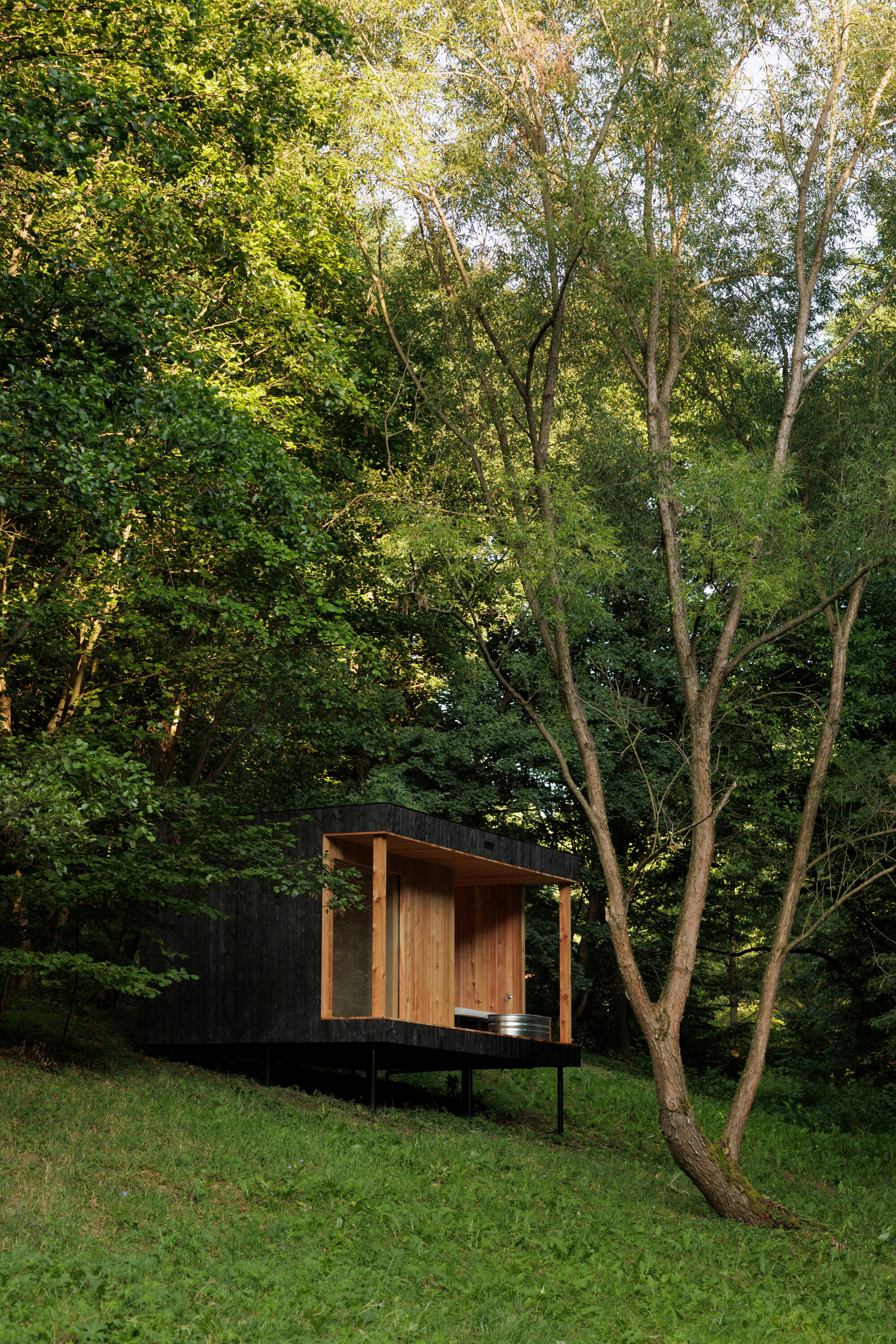 sauna madera negra exterior