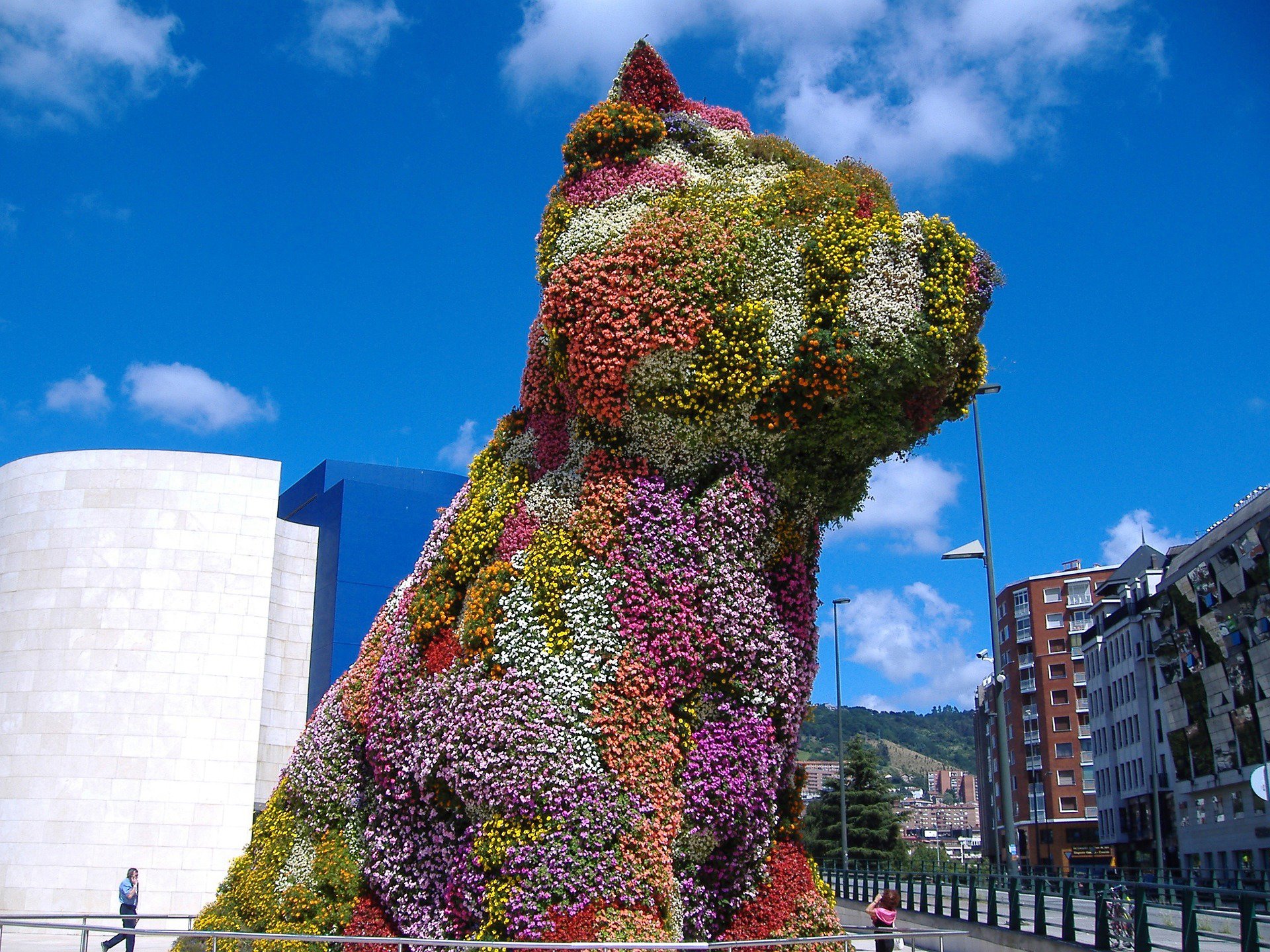 Puppy Bilbao