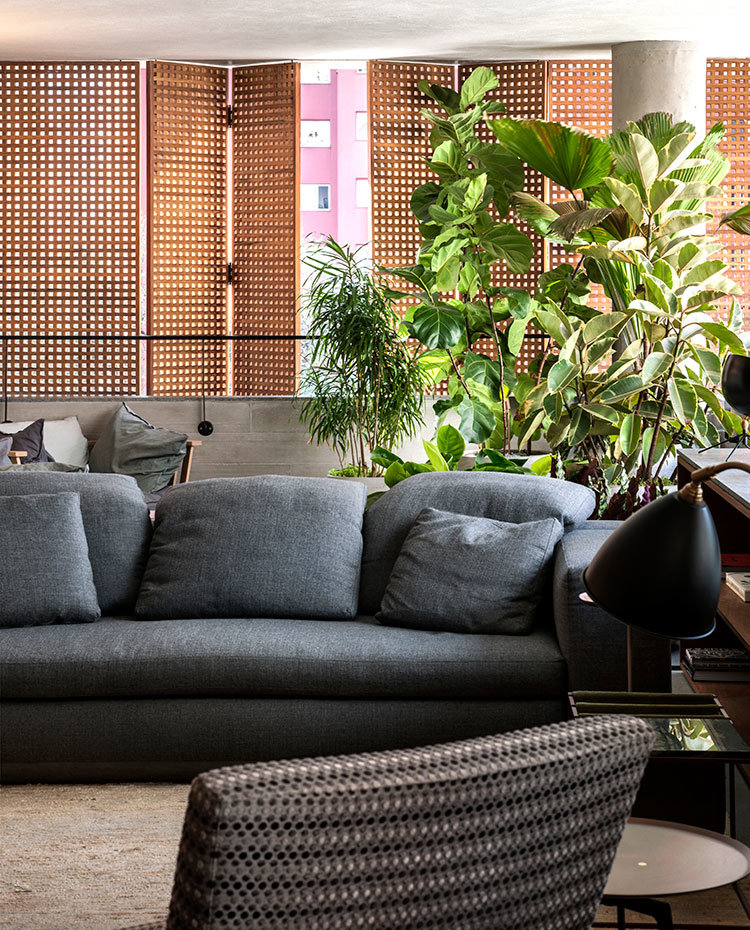 Sofá gris antracita, alfombra cruda, plantas  junto a mueble bajo, biombos madera
