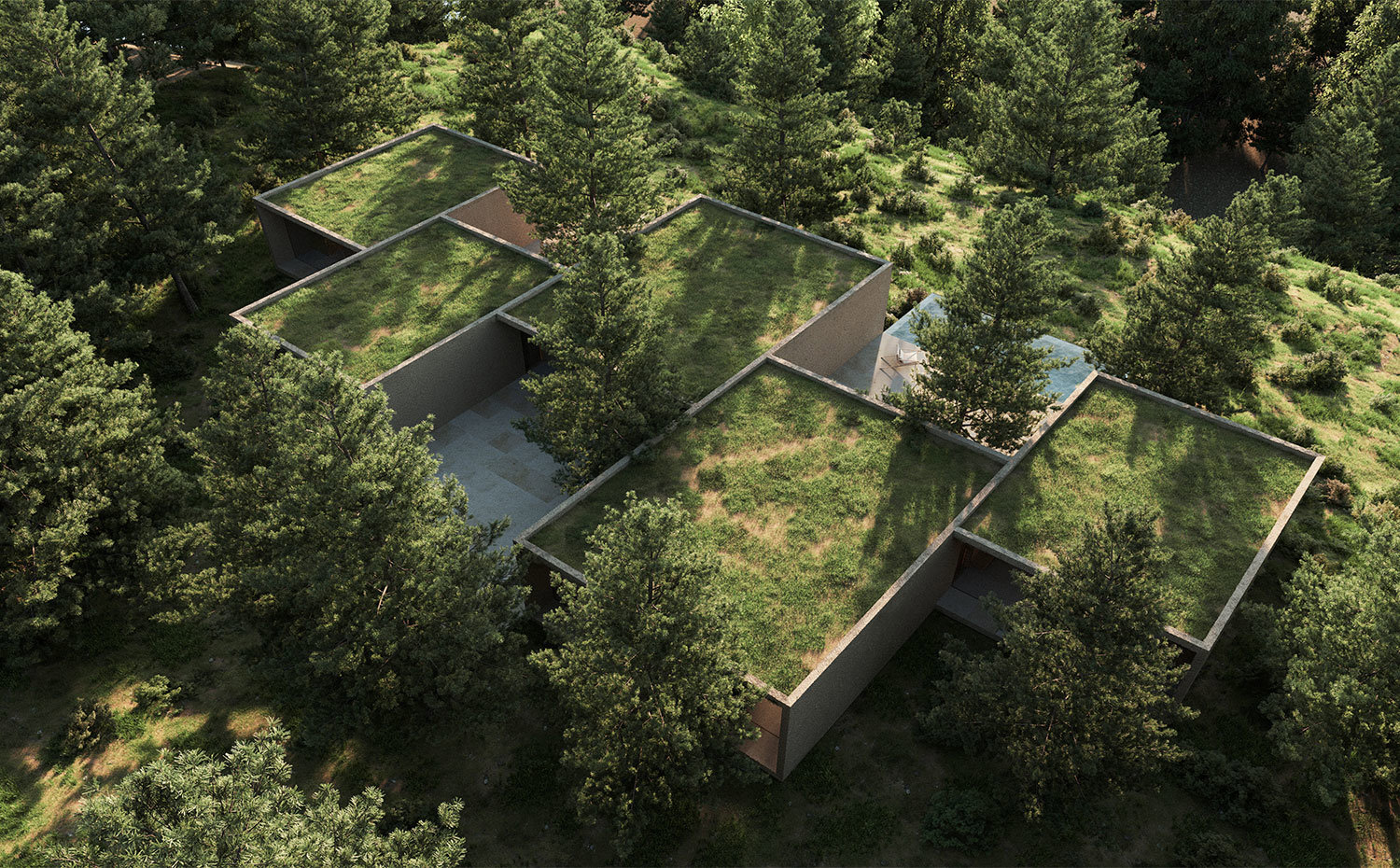 Vista aérea del diseño de la vivienda en entorno natural con cubiertas verdes.