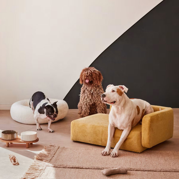 Tu mascota también es amante del diseño: las 9 camas para perros más bonitas, cómodas y encantadoras del mercado  