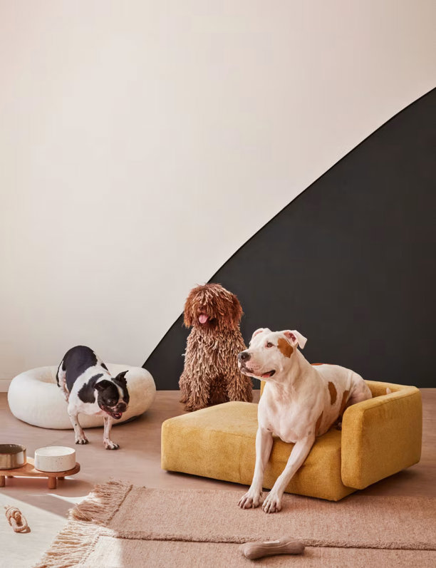 Tu mascota también es amante del diseño: las 9 camas para perros más bonitas, cómodas y encantadoras del mercado  
