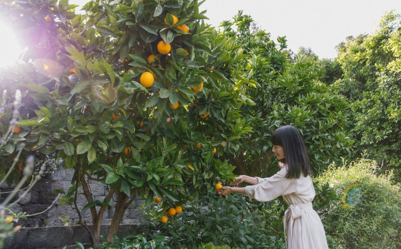 Marie Kondo en jardín con naranjas