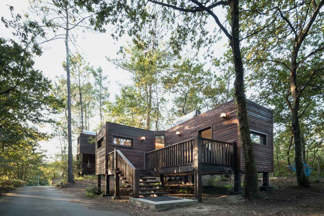 Cabaña contemporánea madera exterior bosque