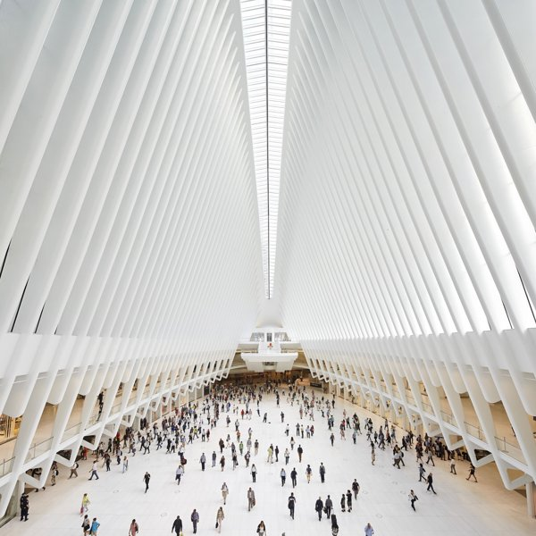 Santiago Calatrava, ¿provocador o pionero?: un debate sobre su impacto en la arquitectura contemporánea