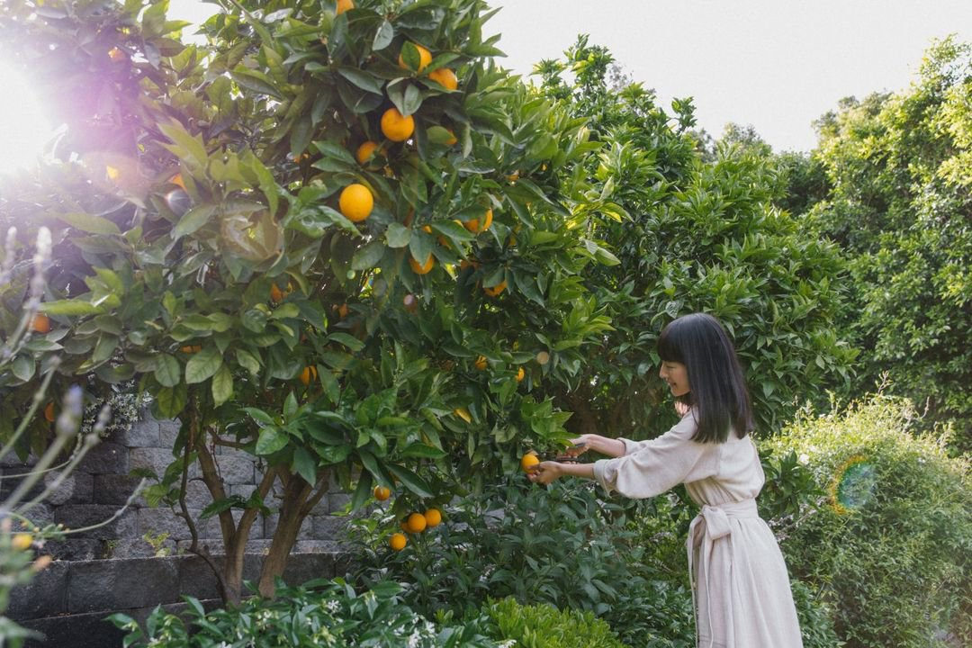 Marie Kondo en jardín con naranjas
