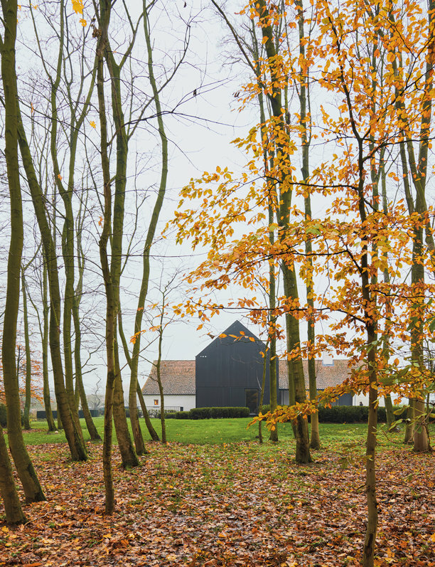 Esta antigua granja en medio del bosque belga integra la naturaleza en cada detalle de su interiorismo