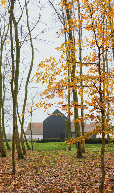 Esta antigua granja en medio del bosque belga integra la naturaleza en cada detalle de su interiorismo