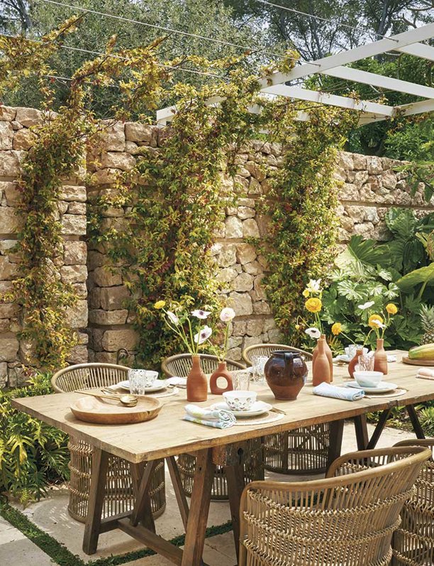 Decora la pared de la terraza con plantas trepadoras resistentes: no ocupan espacio y son fáciles de mantener