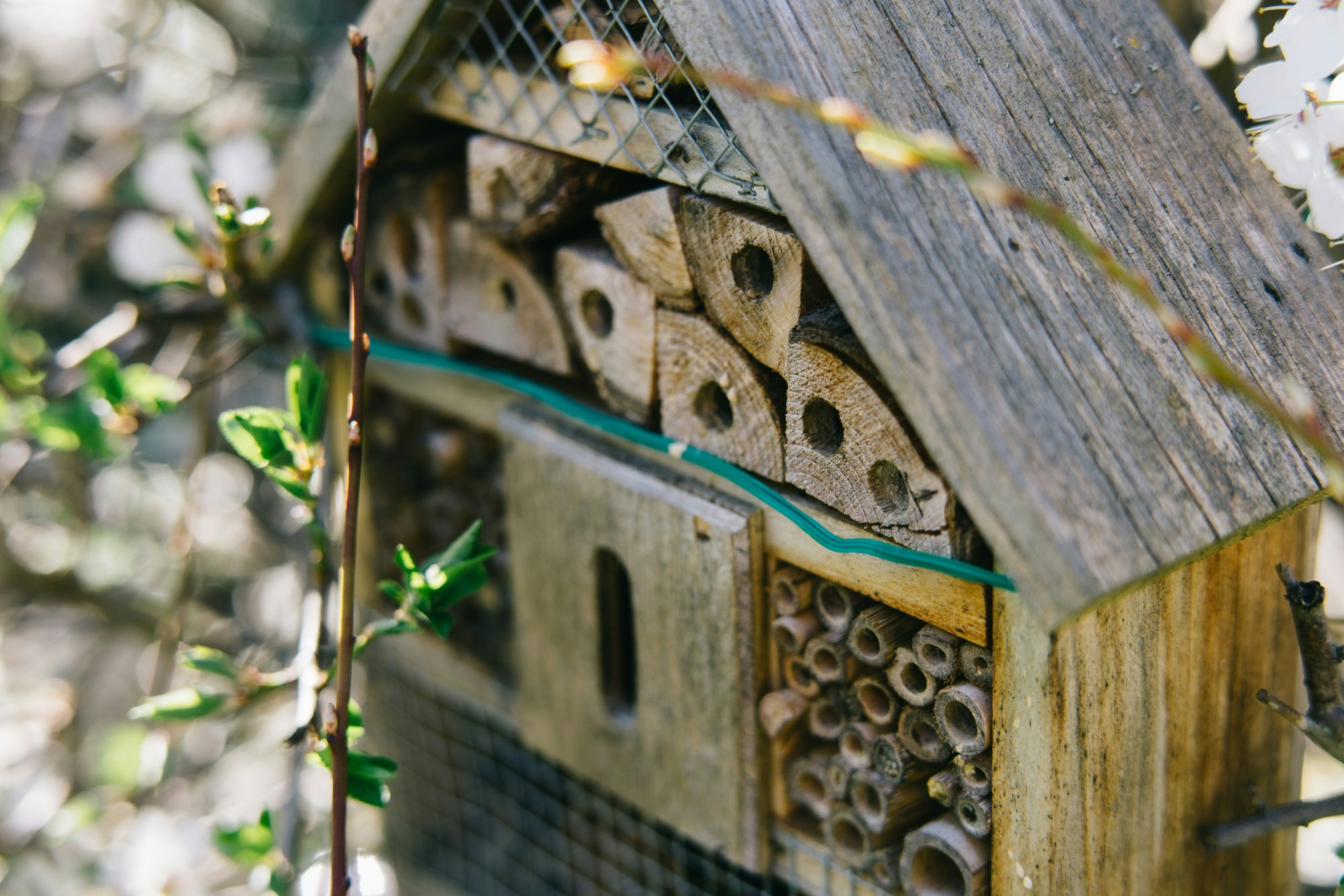 Una casa de madera para insectos