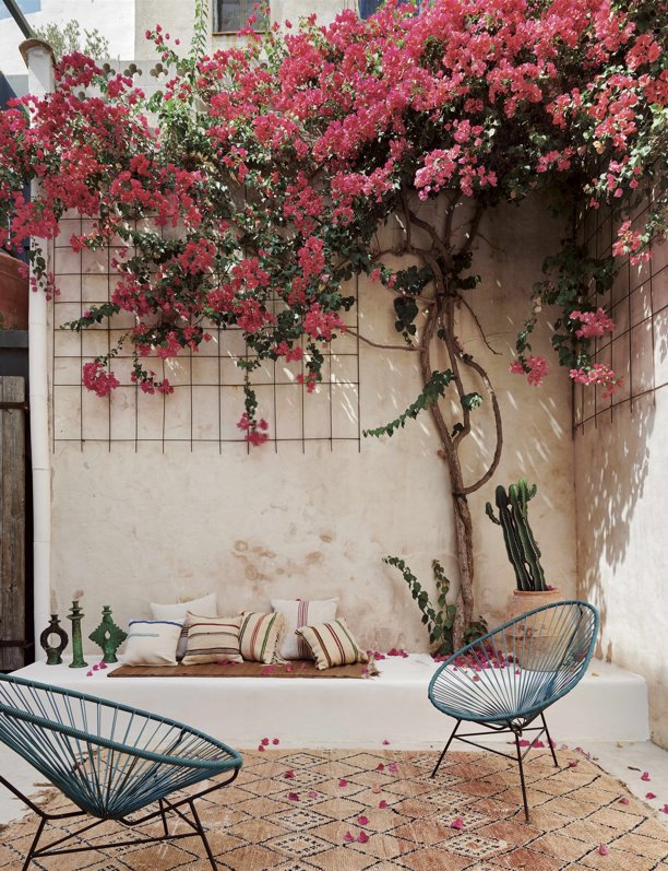 
7 ideas ingeniosas para decorar patios pequeños y modernos: plantas, cocina al aire libre y hasta una mini piscina