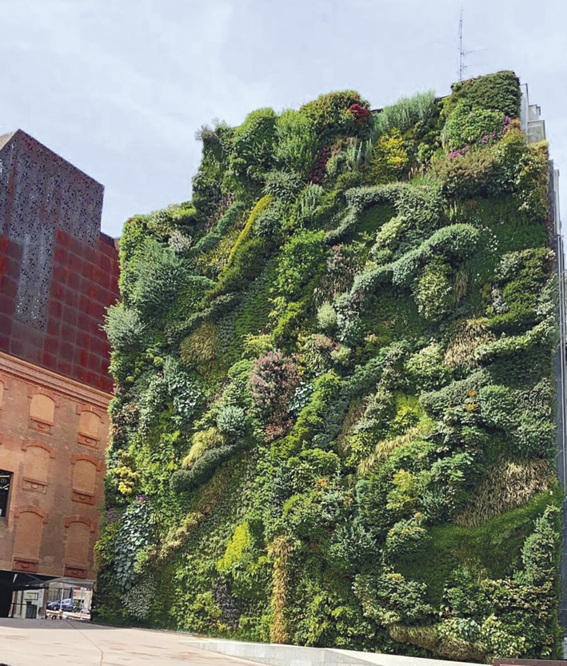 fachada vegetal edificio caixaforum