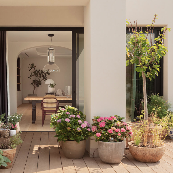7 flores para que tu terraza se llene de vida y color (y tu casa huela como el mejor de los jardines)