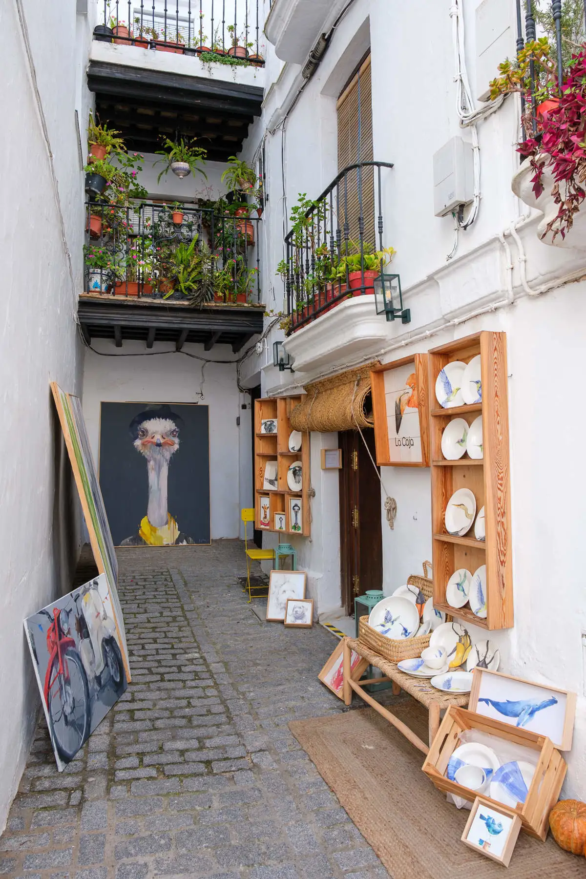 VEJER DE LA FRONTERA