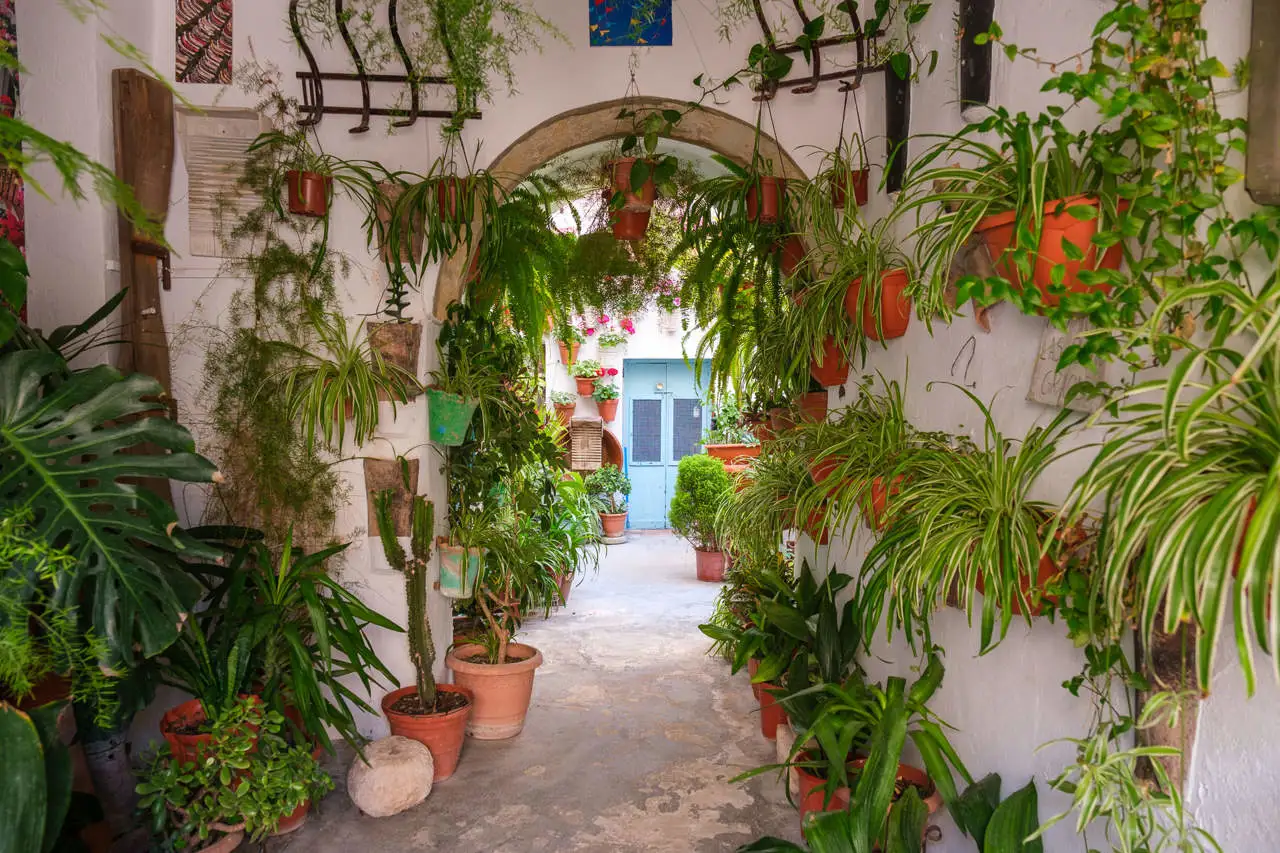 VEJER DE LA FRONTERA