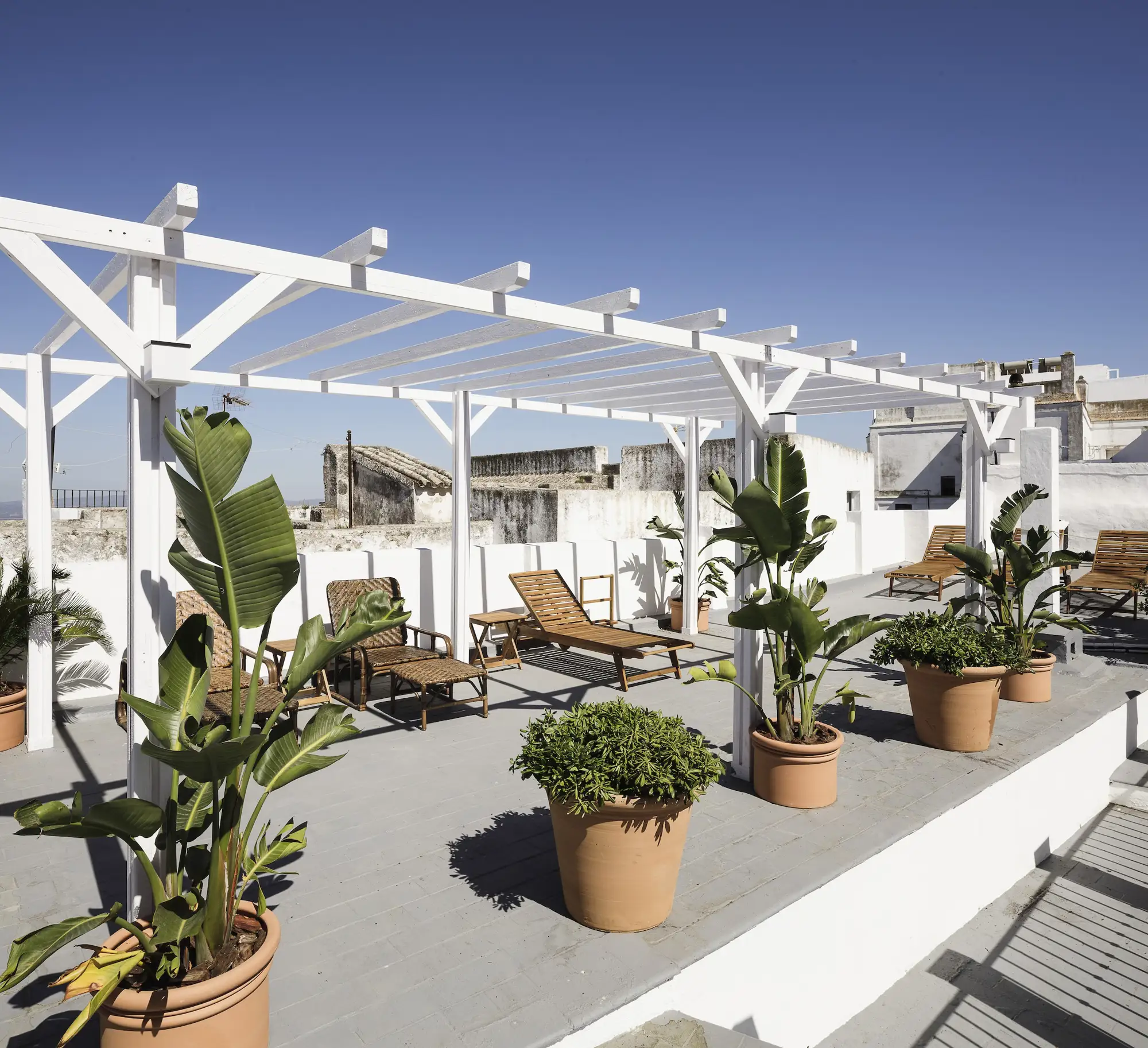 plantas en una terraza con tumbonas