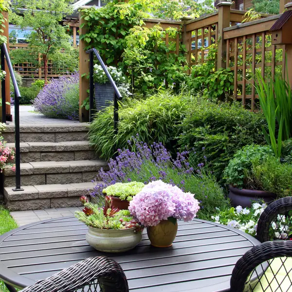 La planta que mejor soporta el calor para decorar tu terraza: resistente y muy fácil de cuidar