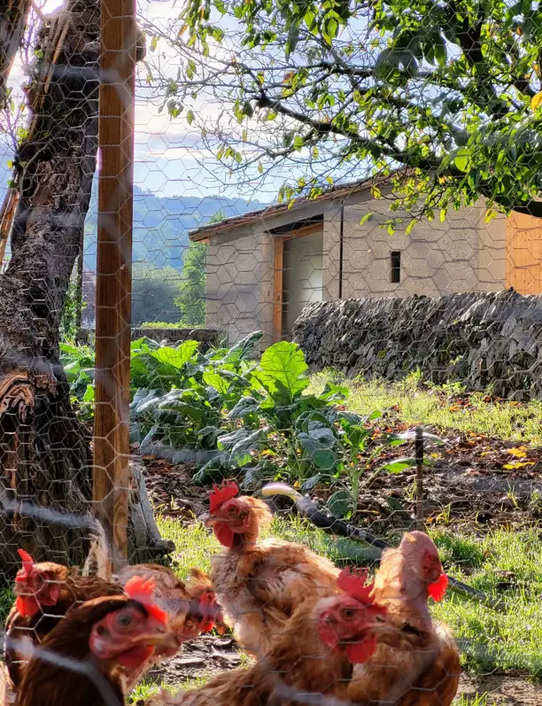 Vida de campo: trabajar en un gallinero y otras impactantes reformas rurales que redefinen el concepto de hogar