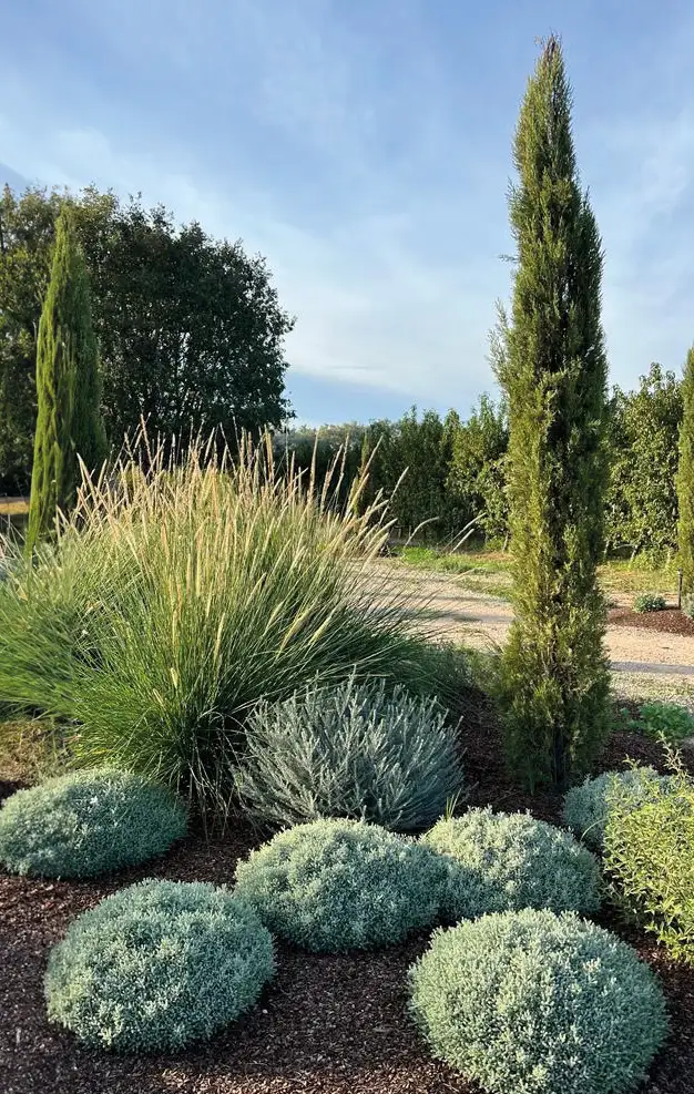Jardines asalvajados