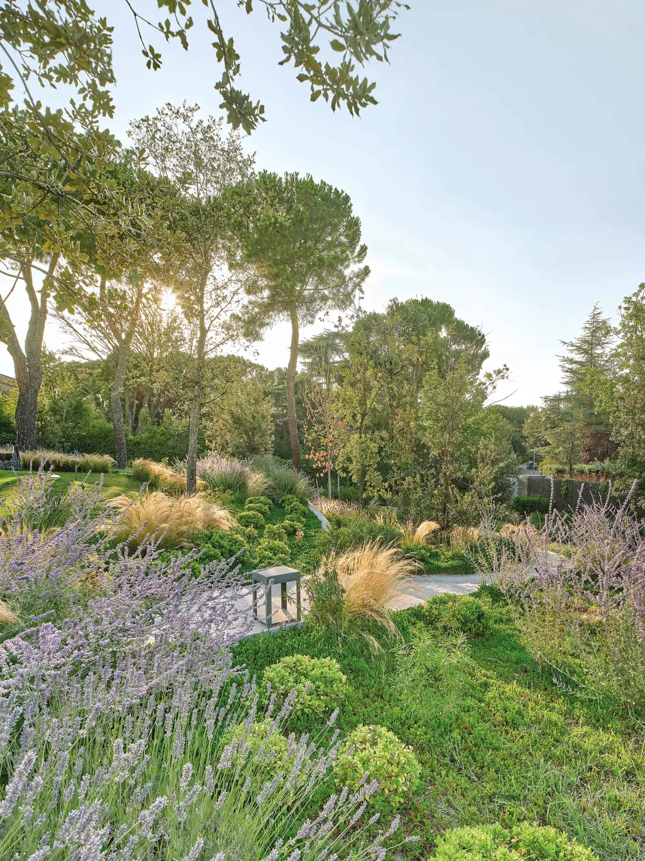 Jardines asalvajados