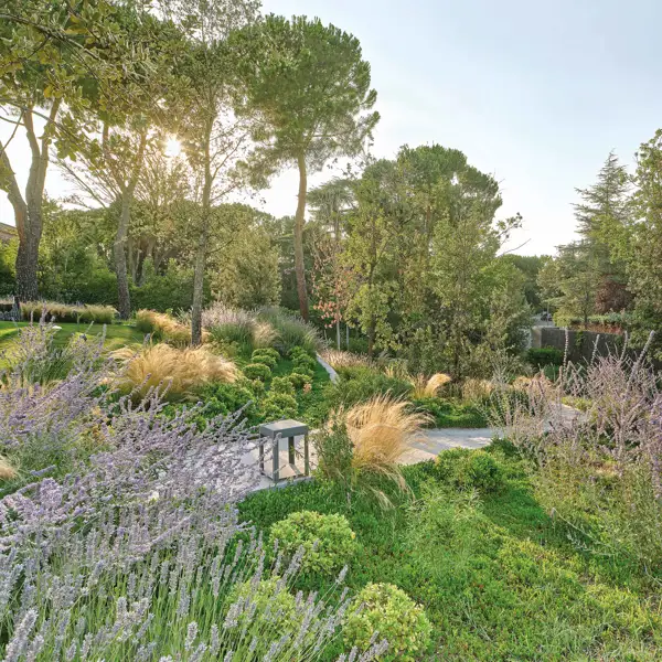 Jardines asalvajados