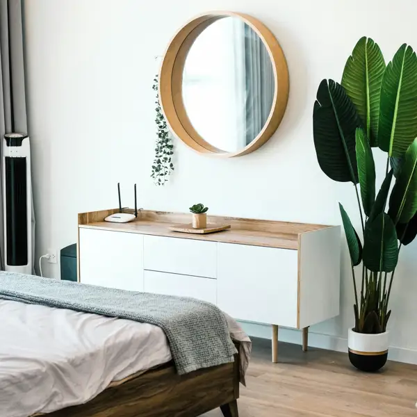 La mini planta que todos quieren en casa: curiosa, fácil de cuidar y que da un toque moderno