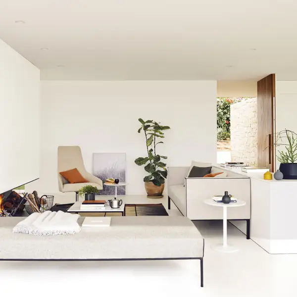 Las 3 plantas y flores que mejor se adaptan al otoño: resistentes y llenas de color para llenar de vida tu casa