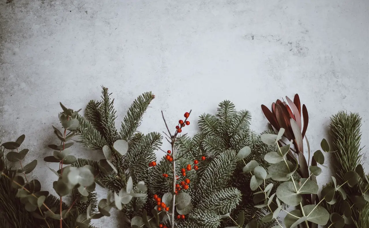 Ni árbol ni Belén, la interiorista decora con ramas naturales.