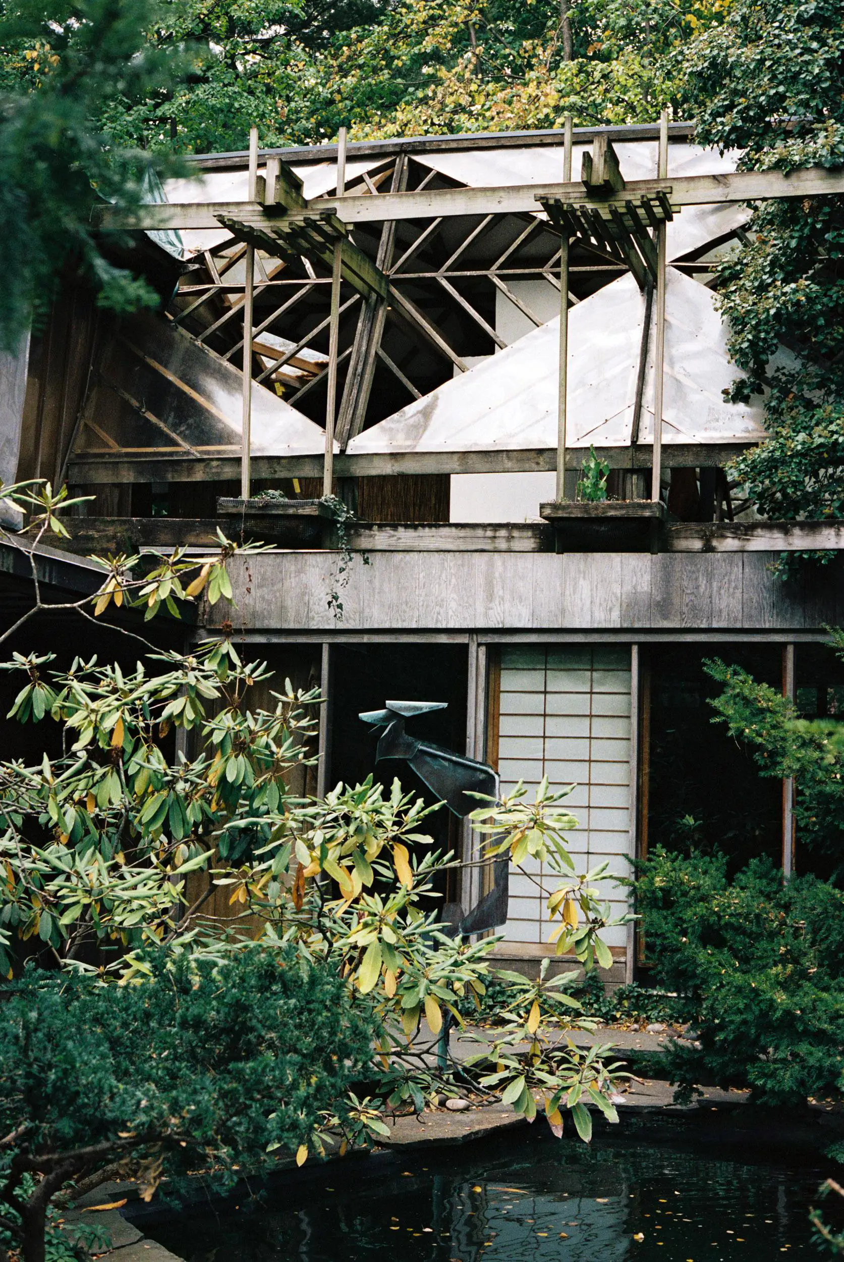 Patio de estilo japonés 