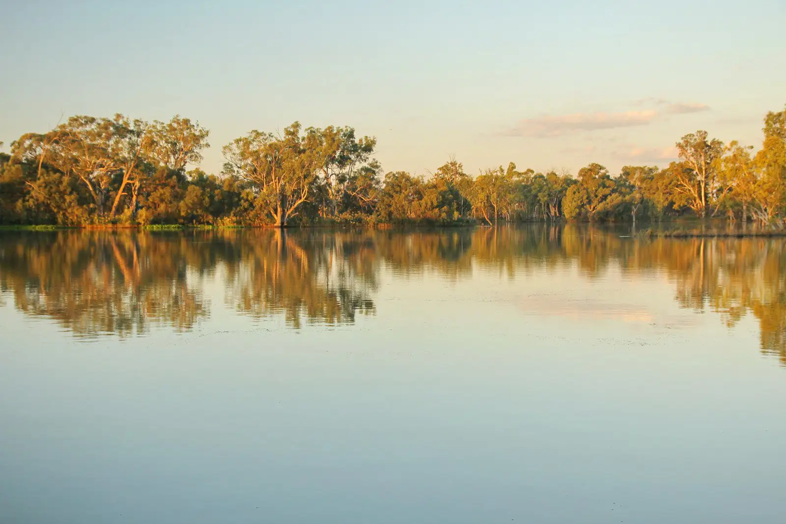 Río Murray en Australia 