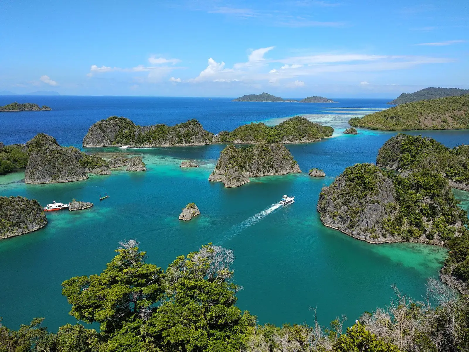 Disfruta del mar de Raja Ampat, en Indonesia