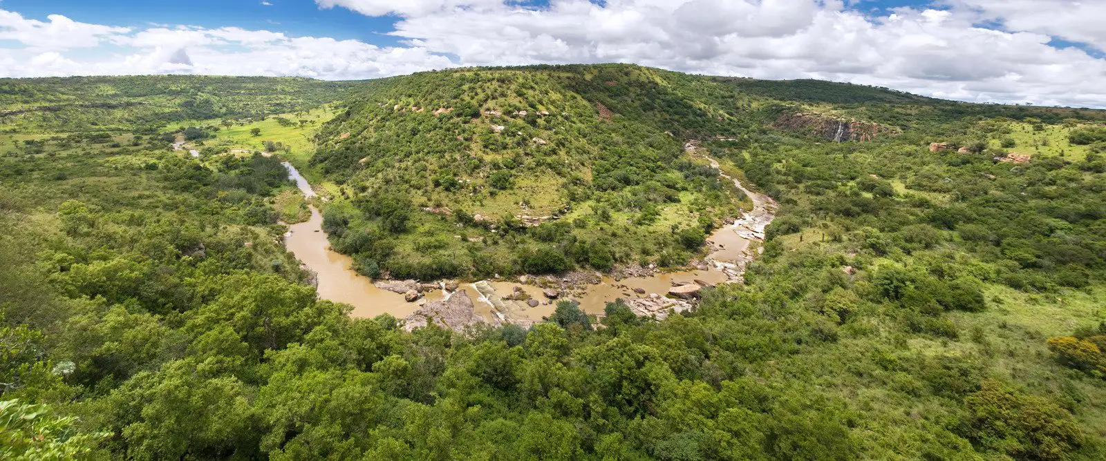 En la selva de Kmanzulu Natal, en Sudáfrica