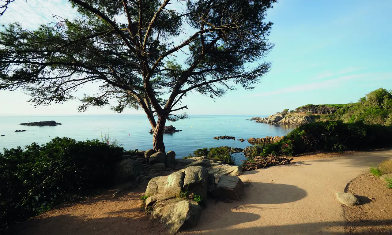 Coastal Walk Palamós (5)