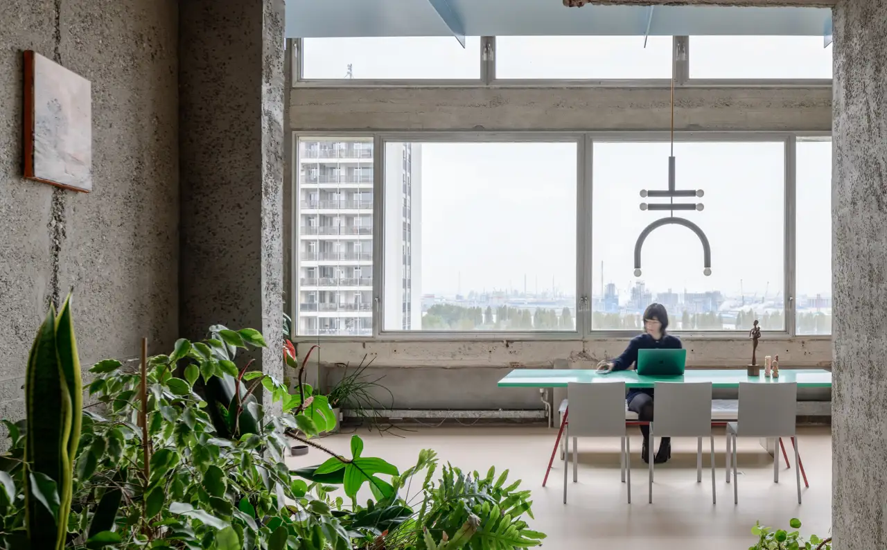 Comedor vistas hormigón con plantas