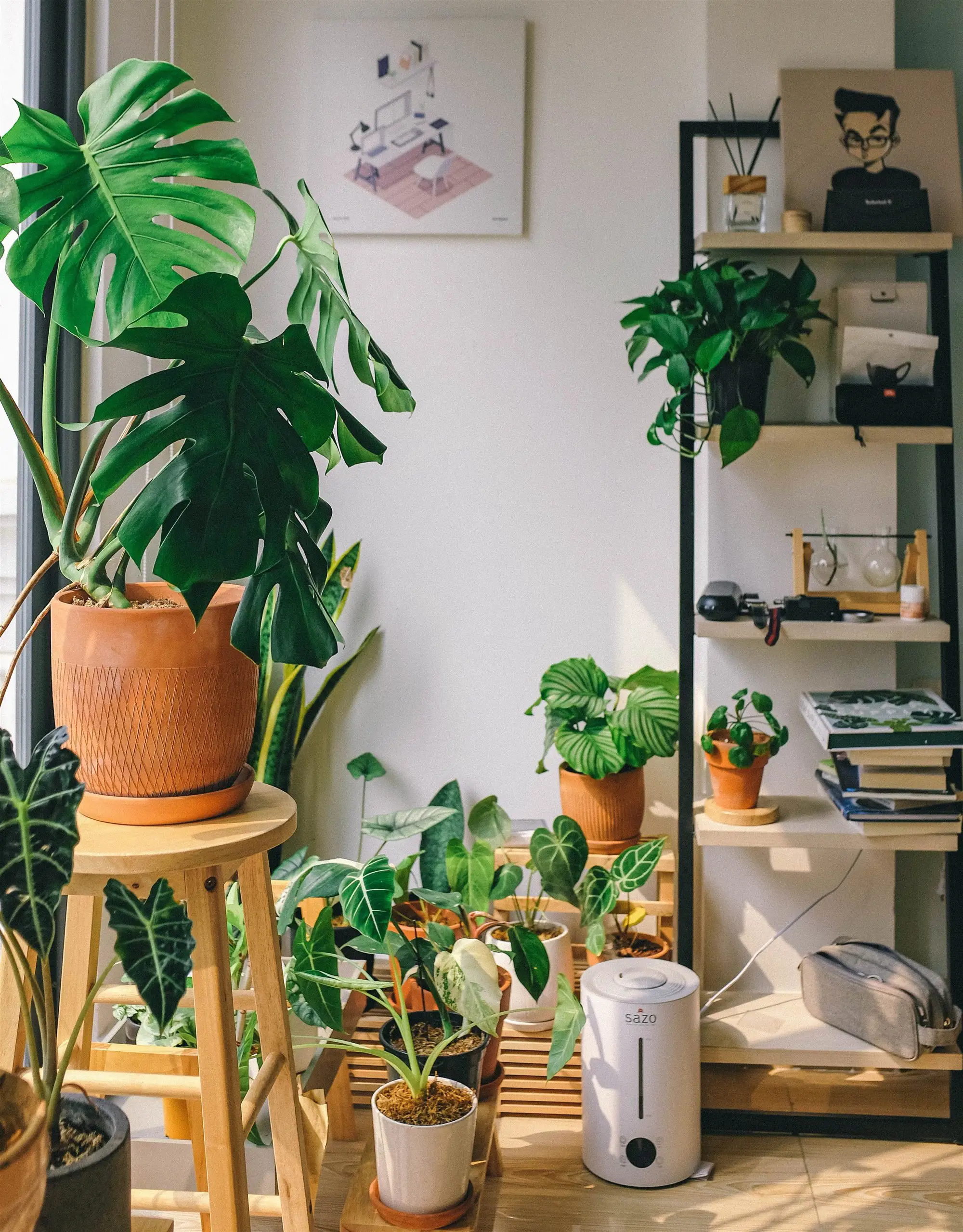 Plantas de interior, perfectas para conseguir bienestar en espacios pequeños